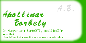apollinar borbely business card